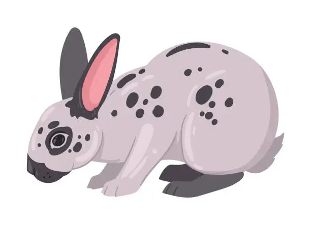 Vector illustration of Spring fluffy rabbit. Cute Easter domestic bunny, fluffy eared animal, little bunny flat vector illustration. Cartoon Easter holiday rabbit on white