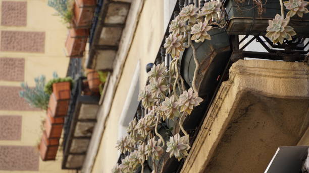 istock Beautiful flowers in the balcony. 2109827911