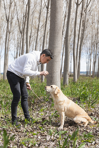 Tender moment between a person and their loyal Golden Retriever amidst the serene backdrop of a leaf-strewn forest floor, with tall, slender trees stretching towards the clear sky. The person, dressed in casual attire, bends down to lovingly gaze at the dog who returns the affection with unwavering attention, exemplifying an unbreakable bond forged through companionship and trust.