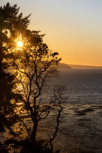 istock Sunset from Mabana Beach on Camano Island Washington 2109943333