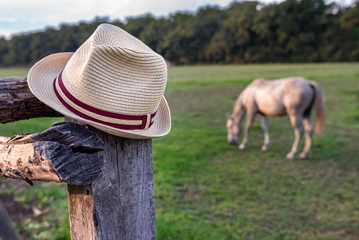 A hat on top of a fence post on a ranch with a horse grazing in the background. Selective focus.