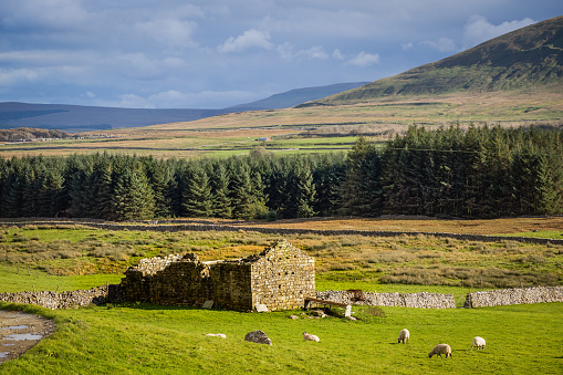 22.10.23 Ribblehead, North Yorkshire, UK. Deralict farm near to Ribblehead in the Yorkshire Dales