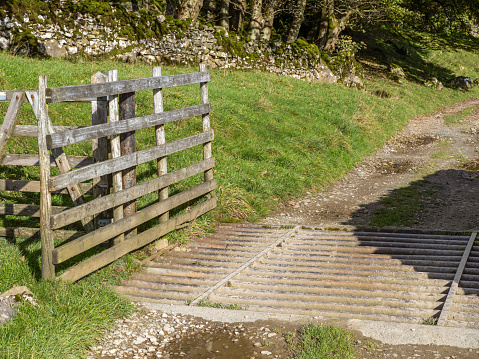 22.10.23 Ribblehead, North Yorkshire, UK. Cattlrgrid near Ribblehead in the Yorkshire Dales