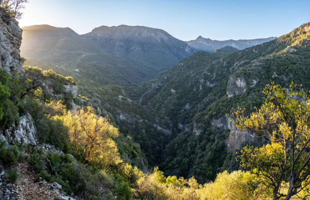 istock Green Gorge Path in Grazalema Mountain range, Spain 2110035999