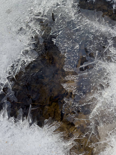 istock thin transparent ice on a puddle in the park on a spring day, foliage through the ice, dry grass through ice 2110100788