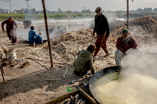 People are making jaggery from sugarcane, Mirpur Khas, Sindh, Pakistan, 2024.