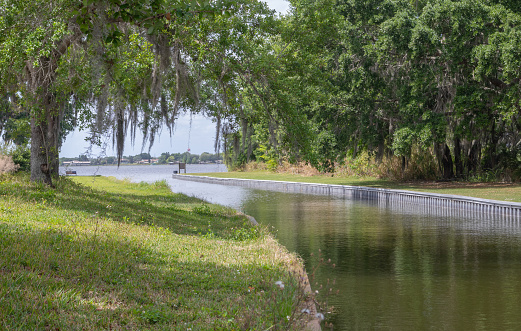Florida canal leading into lake with grassy knoll and oak trees with hanging moss