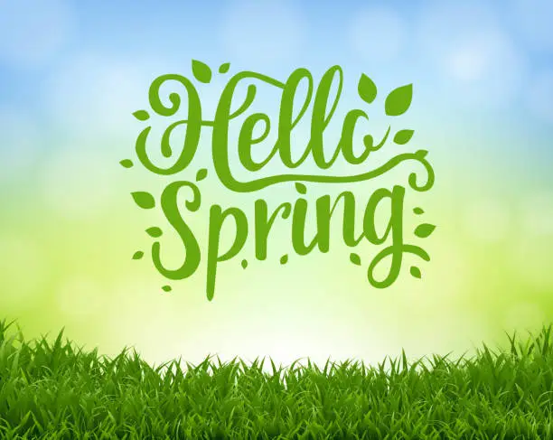Vector illustration of Hello Spring Text Isolated Nature Background