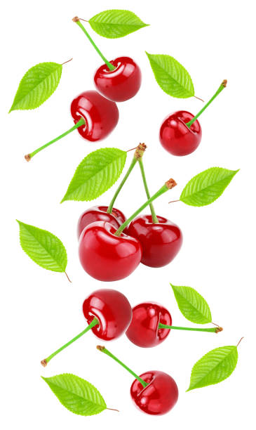 istock flying red cherry with green leaves isolated on white background. clipping path 2110118347