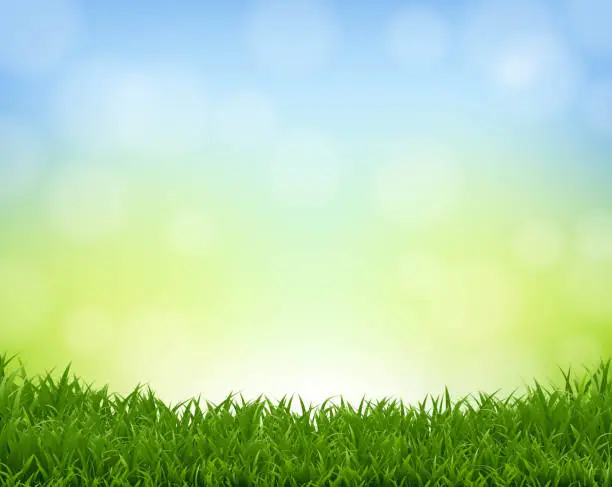 Vector illustration of Spring Banner Nature Background And Grass Border