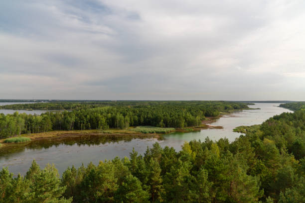 istock A view of the river surrounded by luscious green trees. Dawn 2110133085