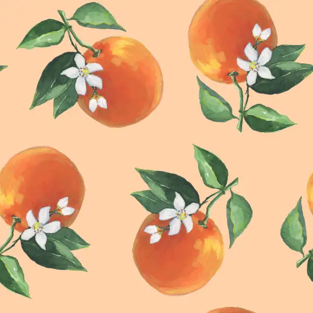 Vector illustration of Oranges Pattern illustration with watercolor in vector on beige