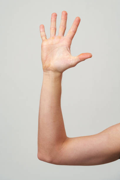 istock Male hand showing five fingers against gray background 2110136240