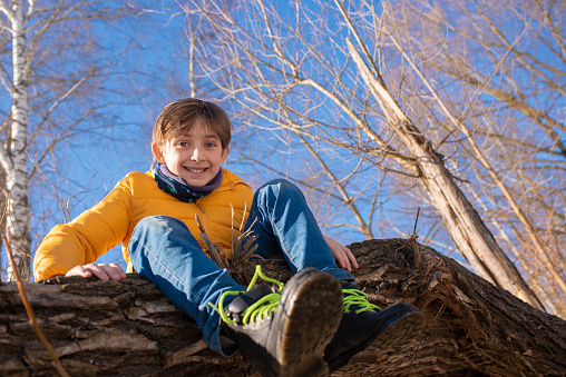 11 year old child sitting on a log, a boy is climbing on a tree in the park on a sunny spring day