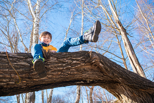 11 year old child sitting on a log, a boy is climbing on a tree in the park on a sunny spring day