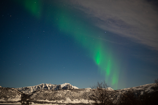 Green aurora lights up the sky and mountains on Lofoten islands, northern Norway.