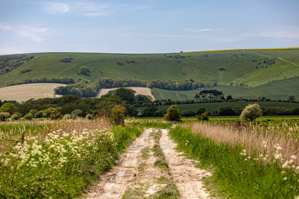istock A rural South Downs view in springtime, of a chalk pathway near Lewes 2110258402