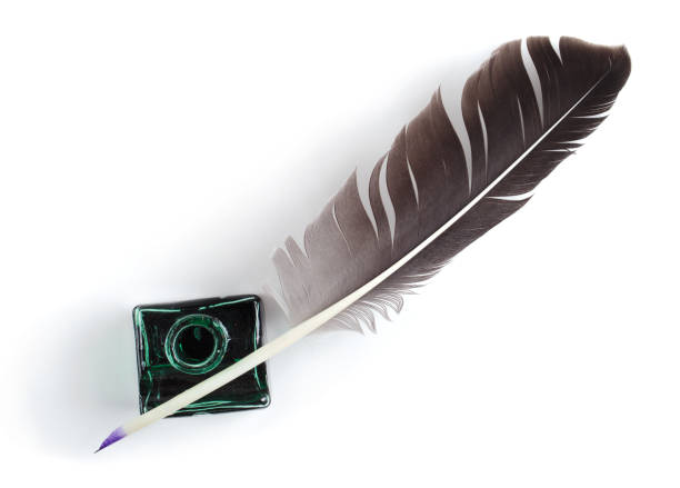 istock Feather and old glass inkwell isolated on white background. Feather for calligraphy, old education, vintage fonts. Top view. 2110262084