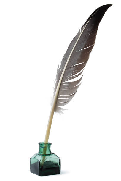 istock Feather and inkwell isolated on white background. Feather for calligraphy, old education, vintage fonts. 2110310185