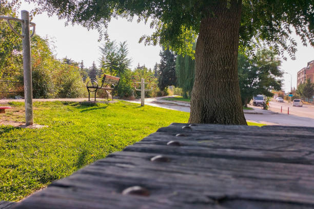 Park space in an urban environment with green lawn, benches, trees and walking paths on a summer sunny day. Landscaped recreation areas.