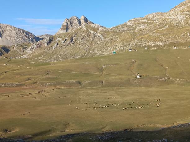 istock Village,  sky, nature, wild beauty, sheep.. 2110380786