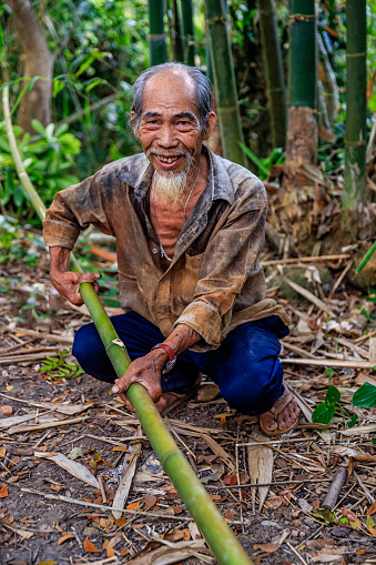 Old Vietnamese man cutting bamboo trunk, Mekong River Delta, South Vietnam