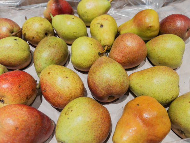 istock Variety of Fresh Pears on Display 2110468056