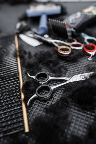 istock Tools of the master groomer after cutting animals. 2110533309