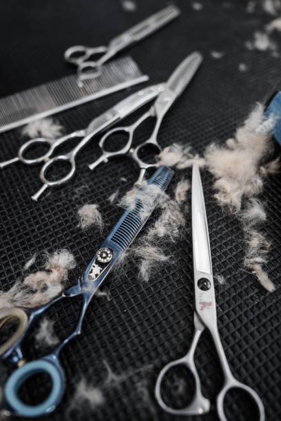 istock Tools of the master groomer after cutting animals. 2110553798