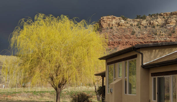 Native American Pueblo facade, detail, Santa Fe, New Mexico, USA,Nikon D3x