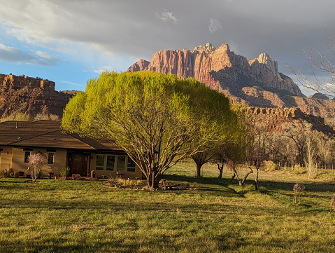 Irrigation Ditch and Orchard in Spring with Ford Ranch in background below Mt Kinesava in Zion National Park Utah