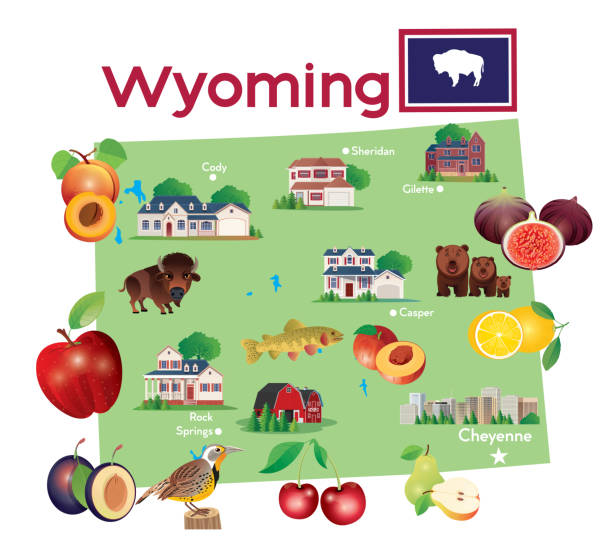 illustrations, cliparts, dessins animés et icônes de wyoming map - wyoming flag american bison poster