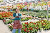 pretty american female with crossed arms wearing apron in greenhouse.