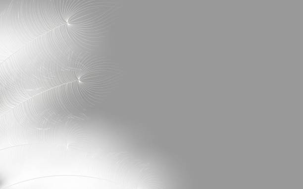 istock Background of flying realistic vector  goose or swan white feathers.Ecological feather filler for pillows, blankets or jackets.Vector concept design. 2110618955