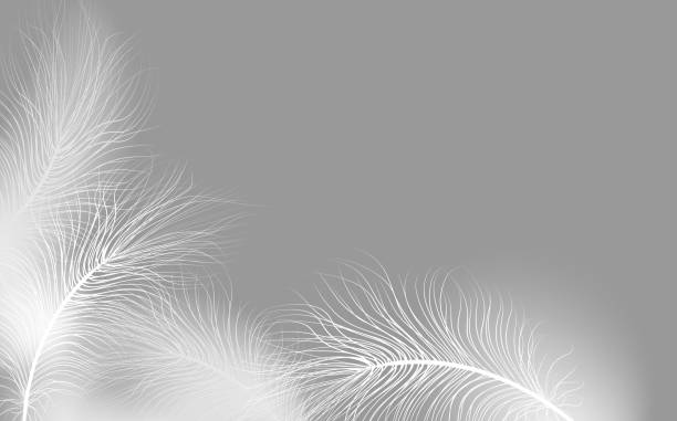 istock Background of flying realistic vector  goose or swan white feathers.Ecological feather filler for pillows, blankets or jackets.Vector concept design. 2110618959