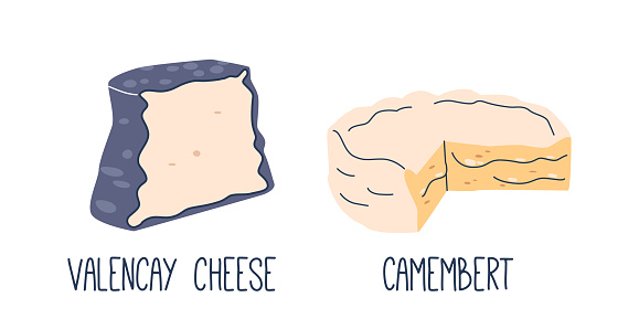 Valencay, An Ash-coated, Goat Milk, Pyramid-shaped Cheese With A Complex, Tangy Flavor. Camembert, From Cow Milk, Offers A Creamy, Rich Taste With A Soft, Bloomy Rind. Cartoon Vector Illustration