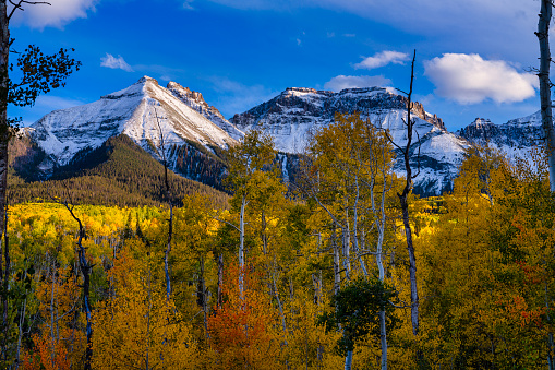 San Juan Mountains and Fall Colors - Aspen trees and snowcapped peaks near Telluride, Colorado USA.