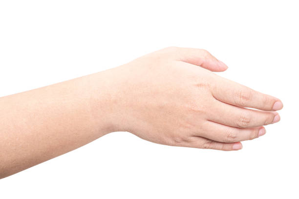 istock Male hand reach and ready to help or receive. Gesture isolated on white background. 2110827290