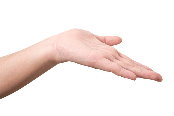Close up male hand reach and ready to help or receive. Gesture isolated on white background with clipping path.