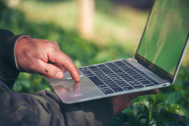 istock Smart farmer using laptop in eco green farm sustainable quality control. Close up Hand typing laptop computer quality control plant tree. Farmer hands using technology in eco Farmland biotechnology 2110888221