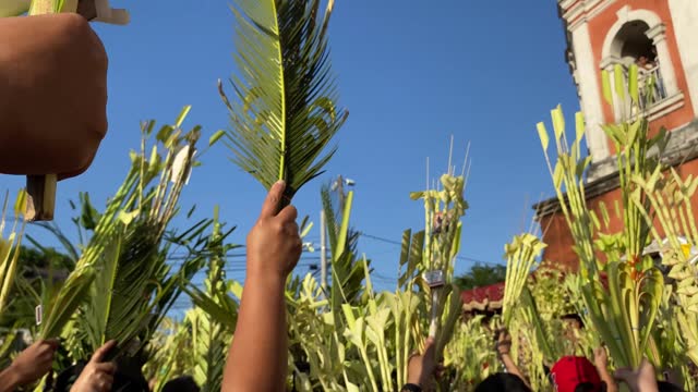 Catholics celebrate Palm Sunday before Easter by waving coconut palm leaves in commemoration of Jesus' triumphal entry into Jerusalem, with the church tower in the background.