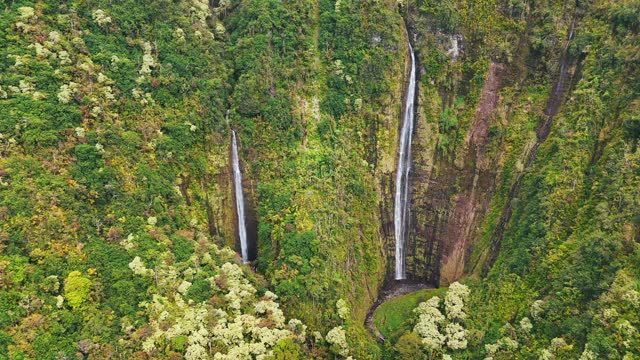 Waimoku falls, Maui, Hawaii.