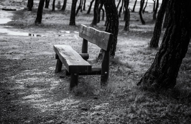 city park