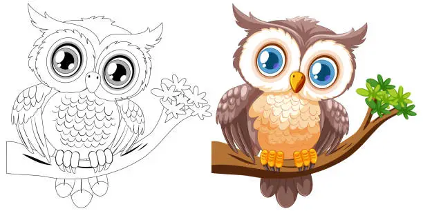 Vector illustration of Colorful and black and white owl illustrations.