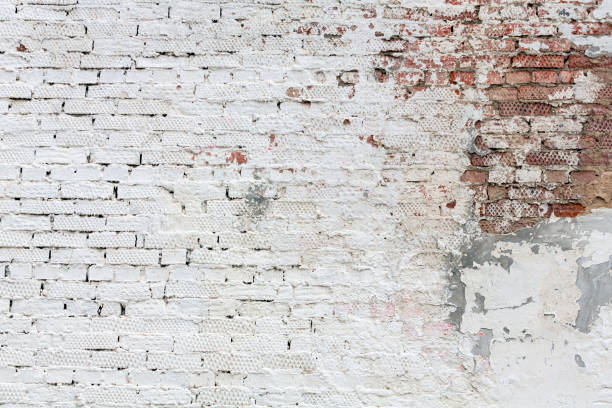 Background — the main color or tone on which the image or text is placed; the part of the image forming the background