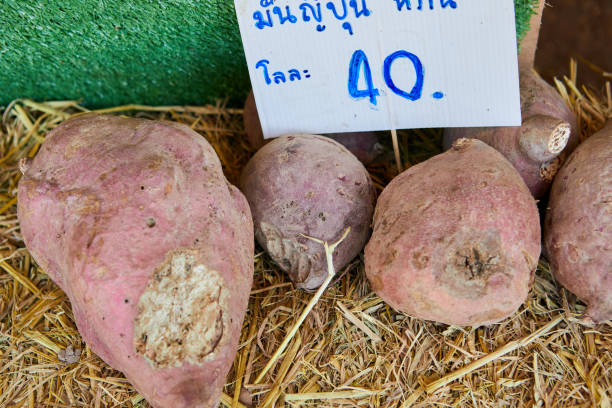 heap of fresh  sweet potato at market stall - raw potato farmers market market stall vegetable foto e immagini stock