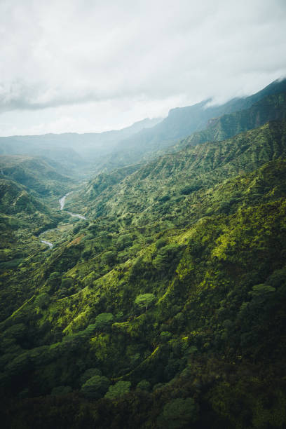 Embark on a mesmerizing aerial exploration of Kauai, Hawaii, USA, with this captivating image captured from a helicopter. Set against the backdrop of towering volcanic peaks and cascading waterfalls, the focal point shifts to a serene valley nestled within the island's verdant landscape. Surrounded by lush greenery and shrouded in mist, the volcanic valley exudes a sense of tranquil beauty and natural wonder. From the rugged terrain to the pristine waters that meander through the valley floor, every detail invites you to immerse yourself in the breathtaking majesty of Kauai's unspoiled wilderness. Experience the awe-inspiring allure of this volcanic paradise, where the raw power and timeless beauty of nature converge in a mesmerizing display.
