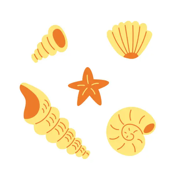 Vector illustration of Seashells and starfish vector illustration set