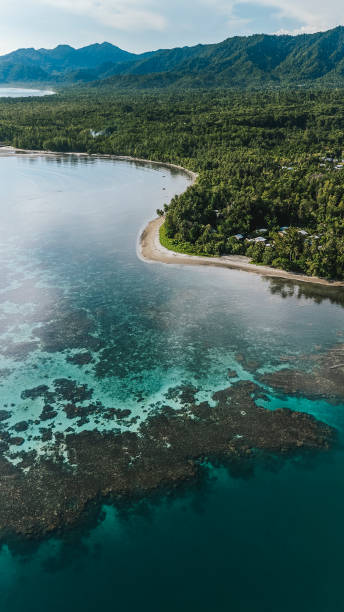 istock Fringing reef close to the coastal shoreline. 2111300723