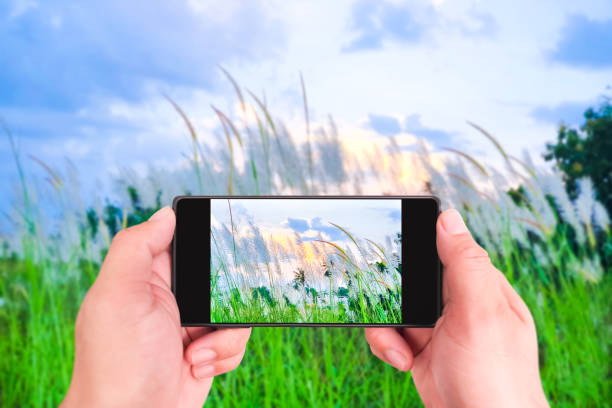 Clear image on screen taken with smartphone in human hand, Smartphone camera technology concept